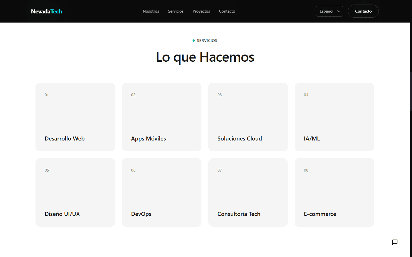 NevadaTech — Services overview
